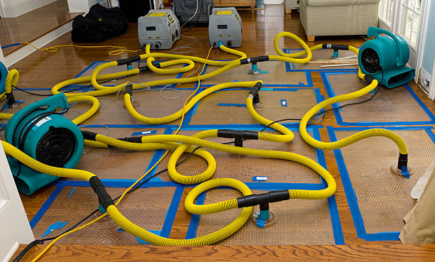Professional Crawl Space Water Removal technician working in Jamul, CA
